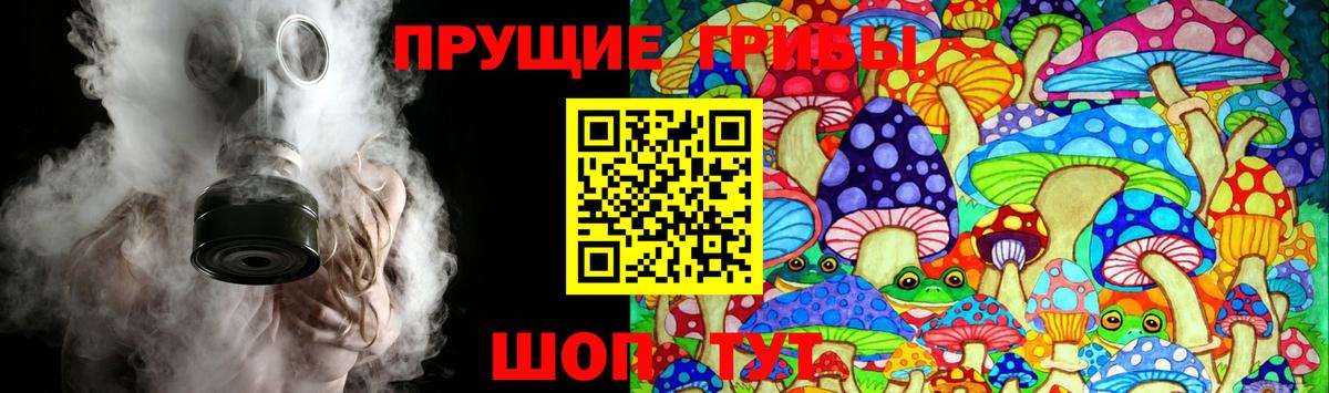 Псилоцибиновые грибы мухоморы Москва